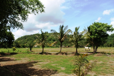 Wilayah Desa