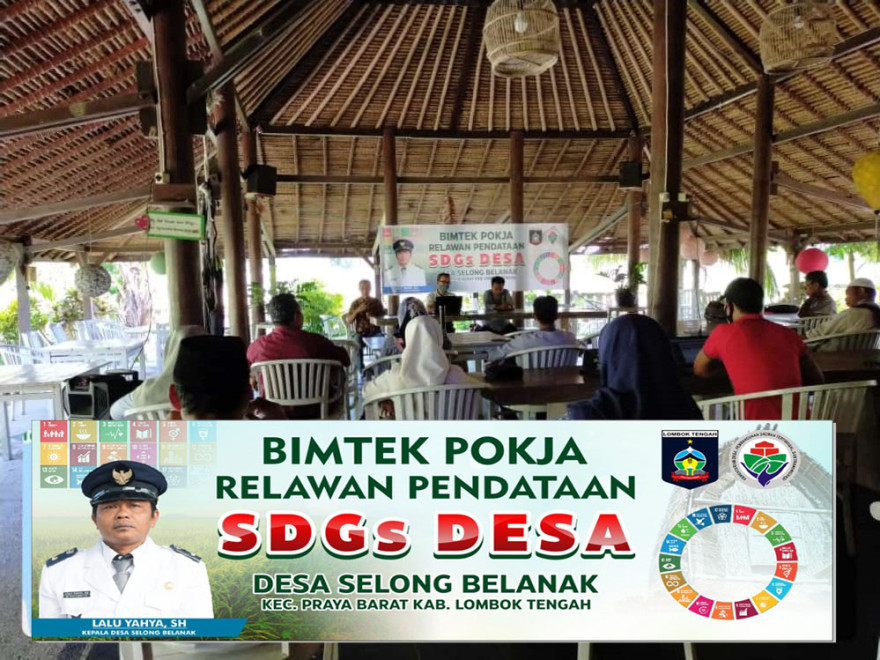 Bimtek Relawan Pokja Pendataan SDGs Desa Selong Belanak Tahun 2021